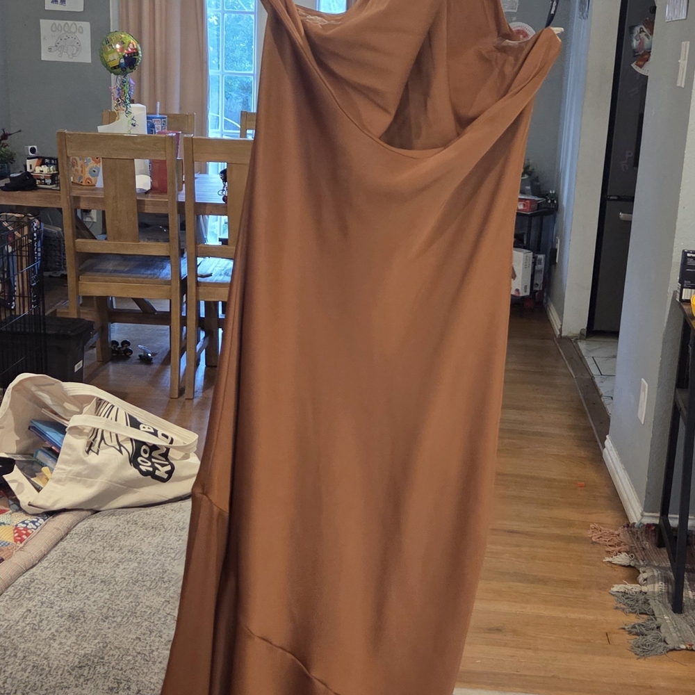 Birdy Grey Rust Dress - Picture 5 of 5